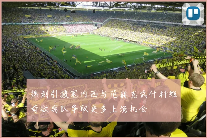 热刺引援塞内西与范赫克武什科维奇欲离队争取更多上场机会