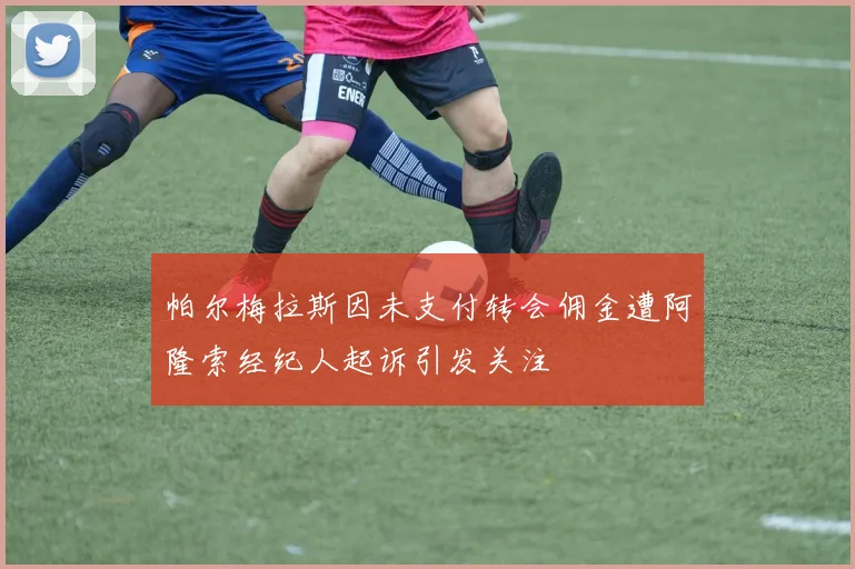 帕尔梅拉斯因未支付转会佣金遭阿隆索经纪人起诉引发关注